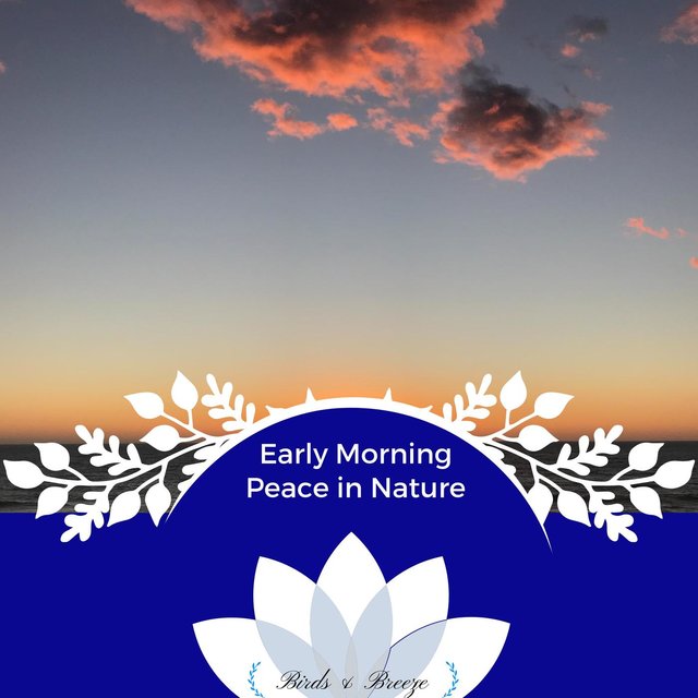 Early Morning Peace In Nature