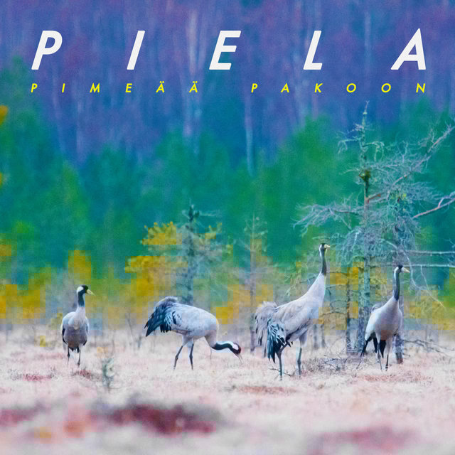 Pimeää pakoon