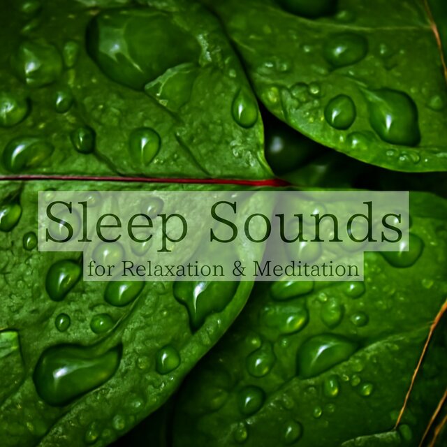 Sleep Sounds for Relaxation & Meditation