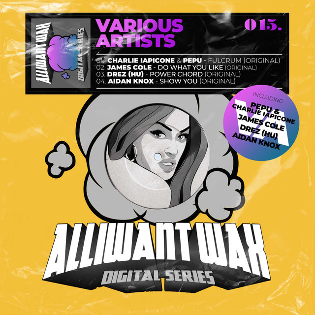 Alliwant Wax digital 015 VA
