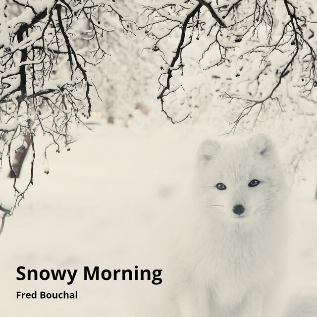 Snowy Morning (The Piano Collection Iv)