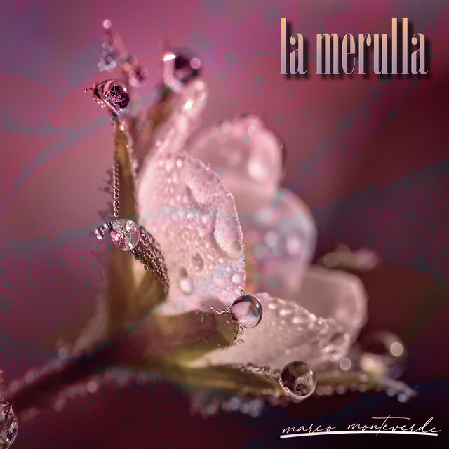 La Merulla