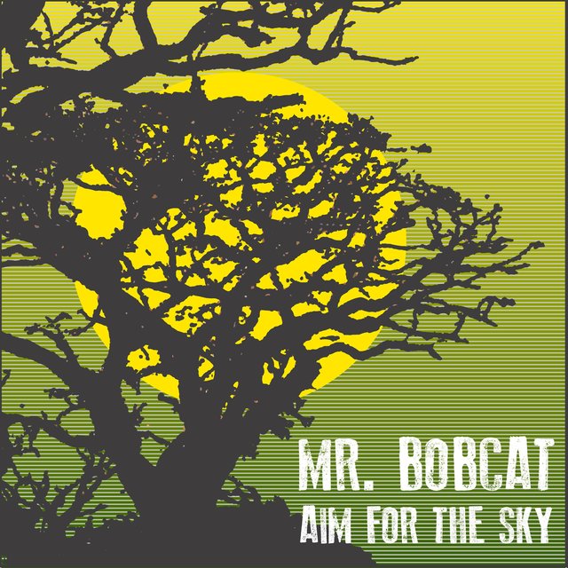 Aim for the Sky (feat. Tweneboa)