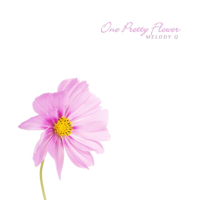 One Pretty Flower