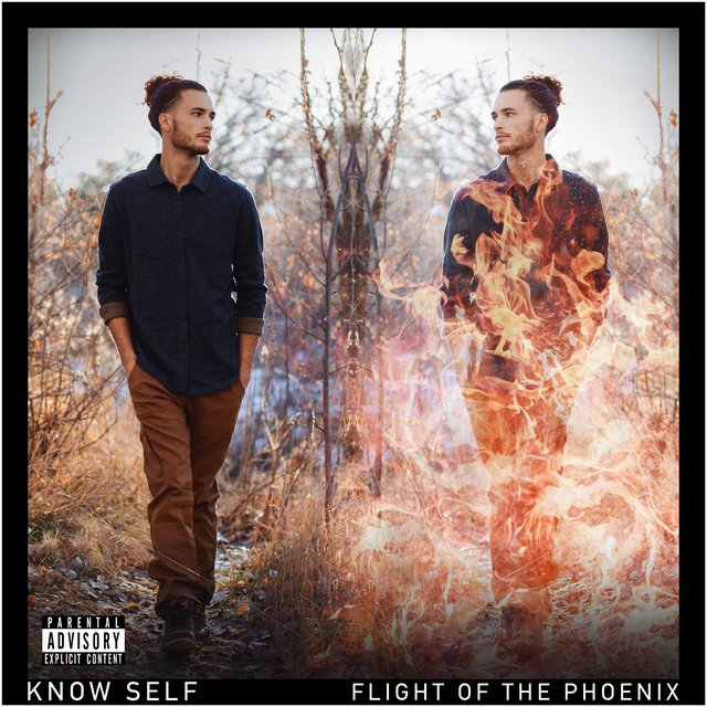 Flight of the Phoenix