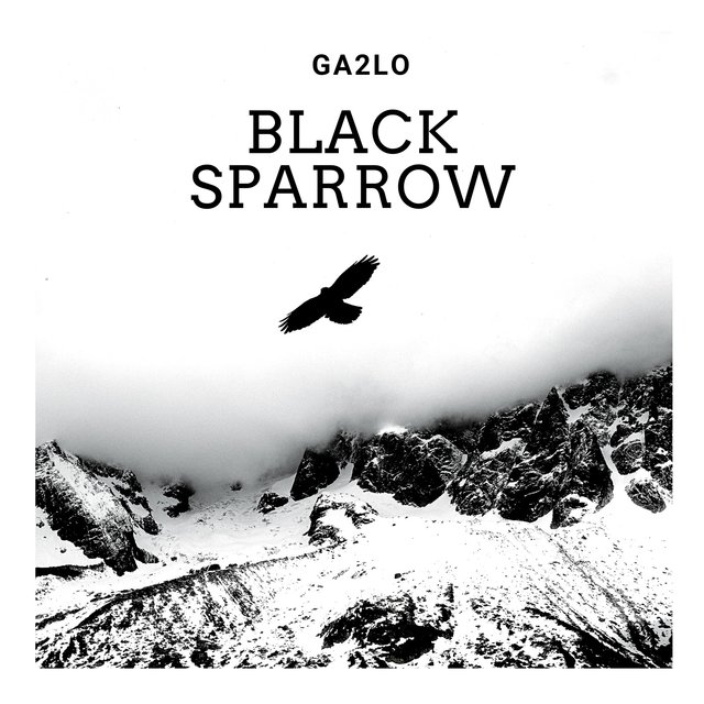 Black Sparrow