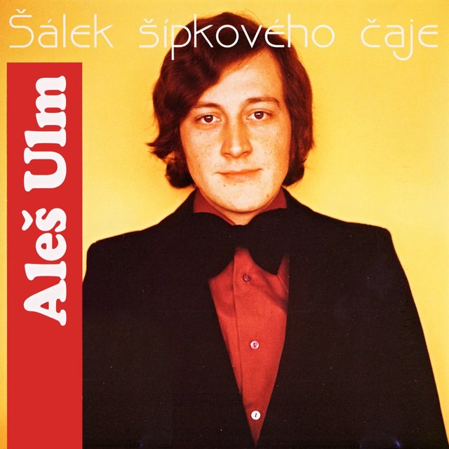 Šálek Šípkového Čaje