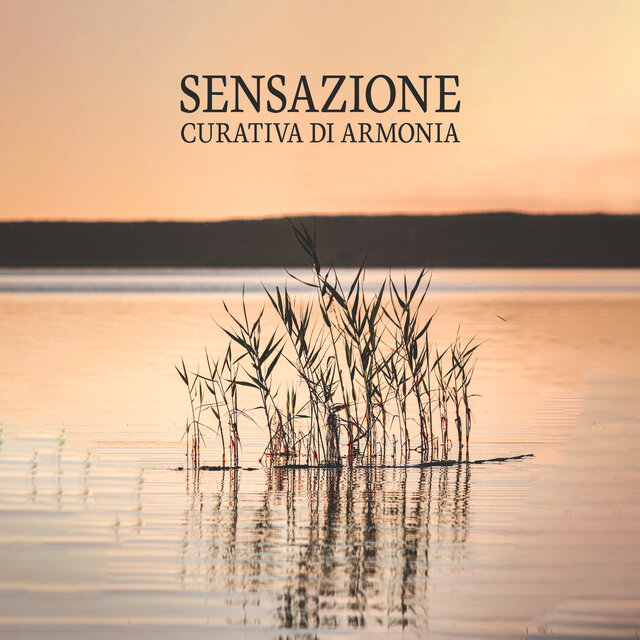 Sensazione Curativa Di Armonia