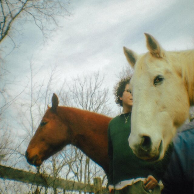 Unstable Horses