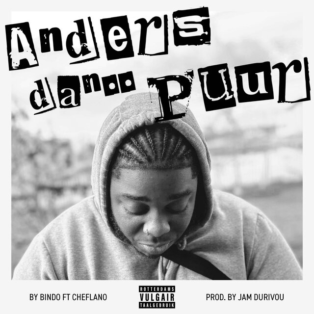 Anders dan puur