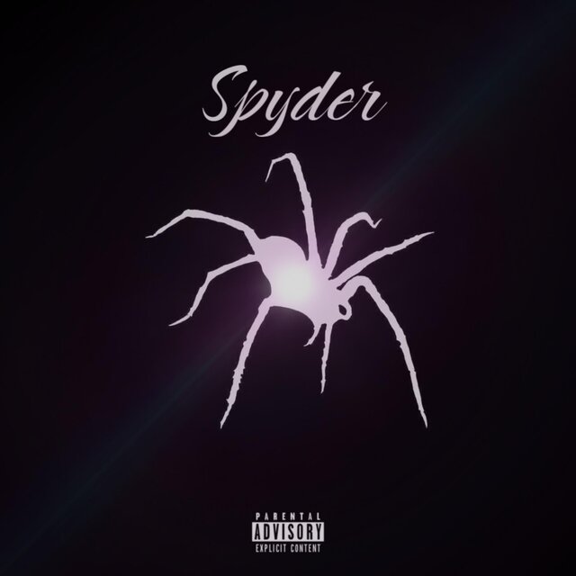 SPYDER