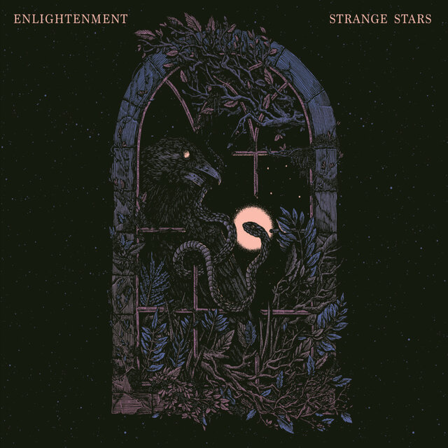 Strange Stars