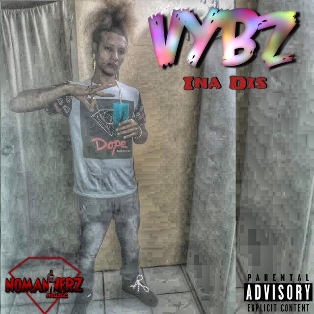 Vybz Ina Dis