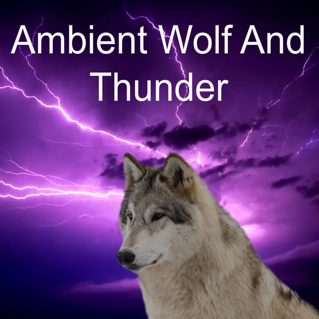 Ambient Wolf and Thunder Sounds