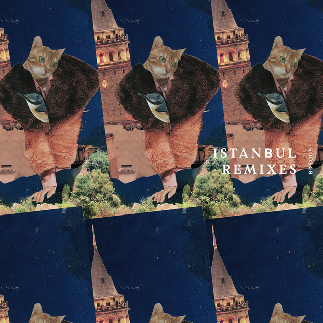 Istanbul (Remixes)