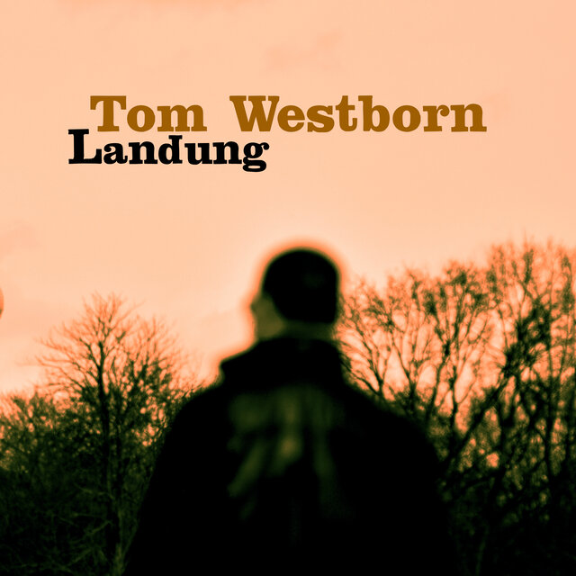 Landung