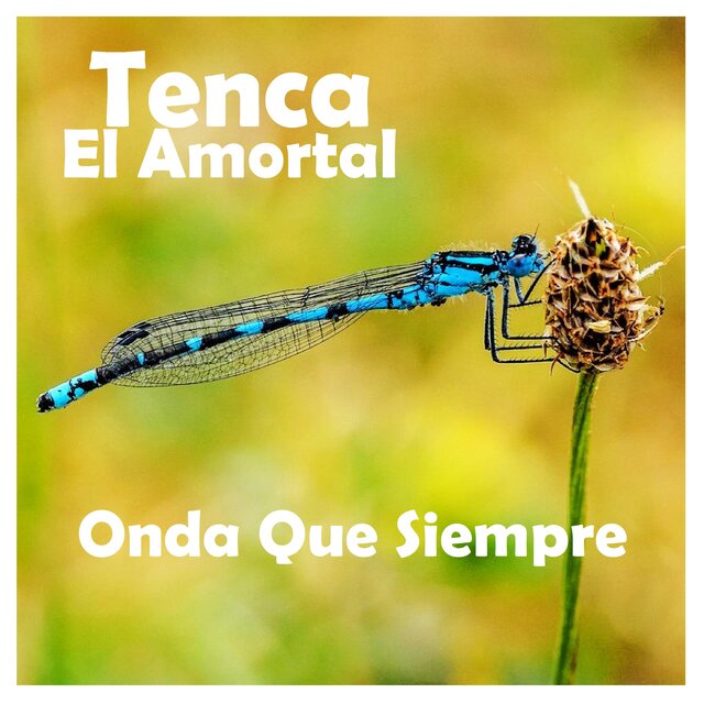 Onda Que Siempre