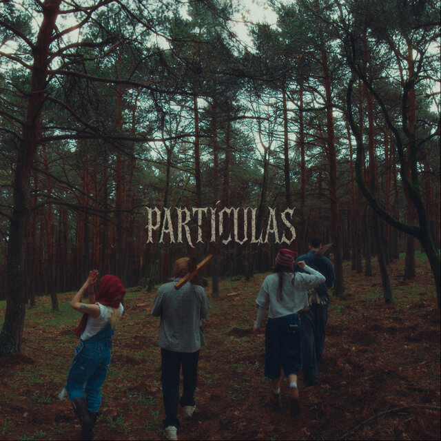 PARTÍCULAS