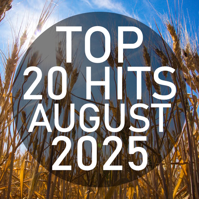 Top 20 Hits August 2025 (Instrumental)
