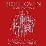 Symphony No. 5 in C Minor, Op. 67: I. Allegro con brio