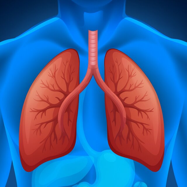 Lung Regeneration & Clear Mucus and Boost Oxygen Intake