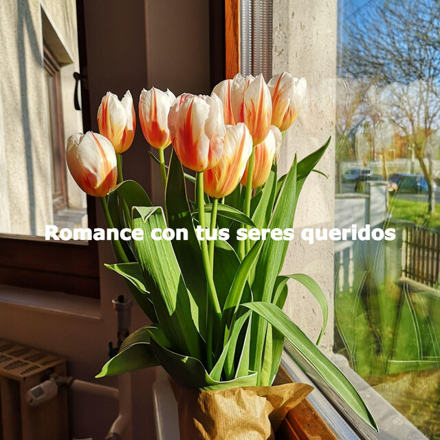 Romance con tus seres queridos
