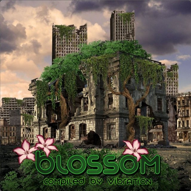 Blossom