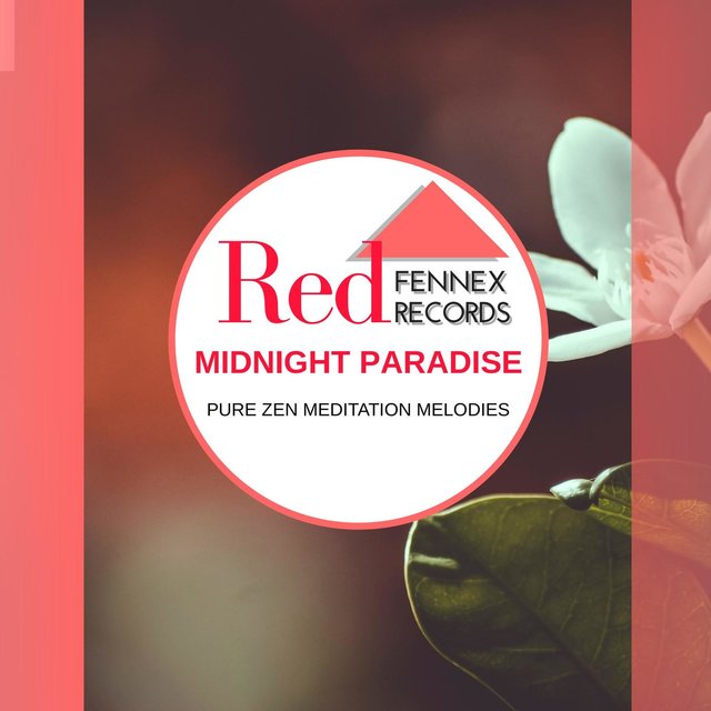 Midnight Paradise - Pure Zen Meditation Melodies