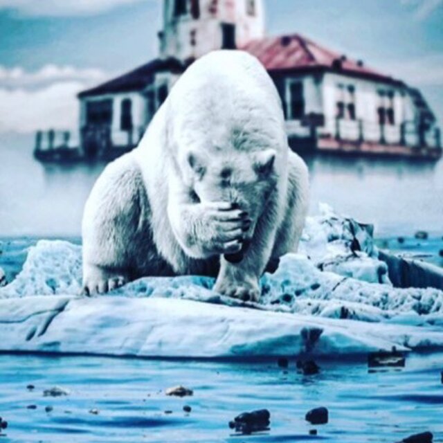 Baby Im Polar