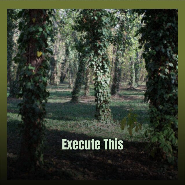 Execute This