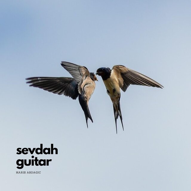 Sevdah Guitar: Guitar Instrumental Version of Three Beautiful Bosnian Traditional Songs
