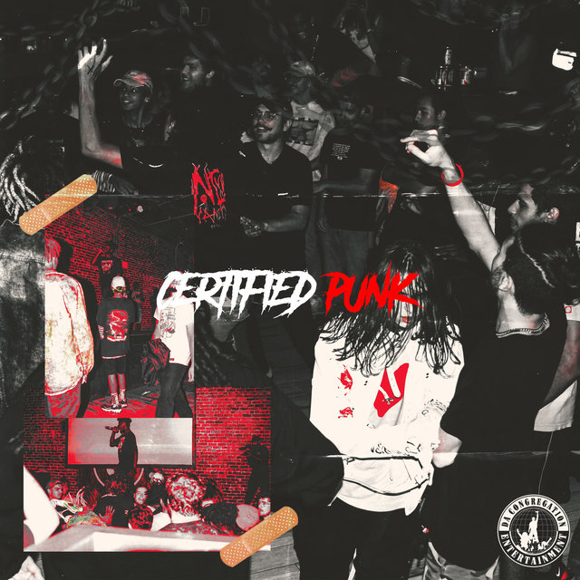Certified Punk