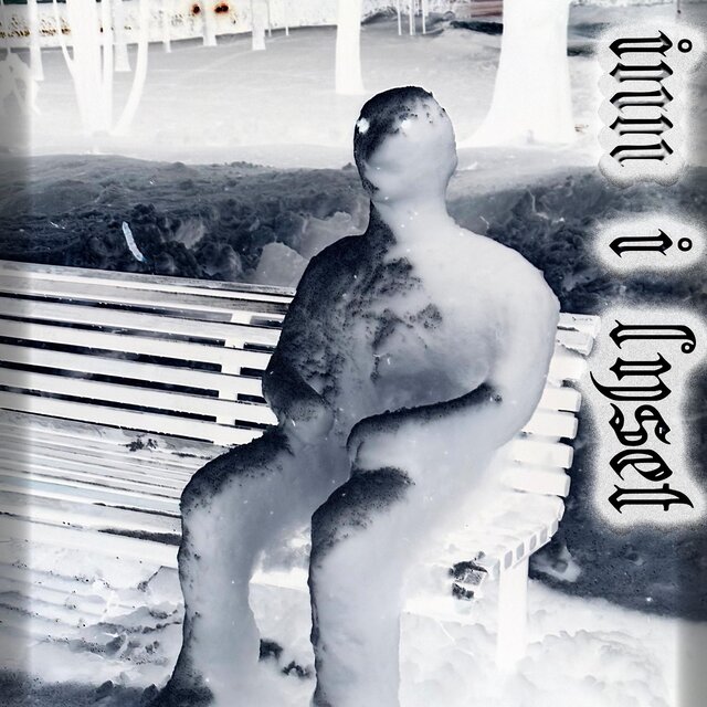 Inn I Lyset