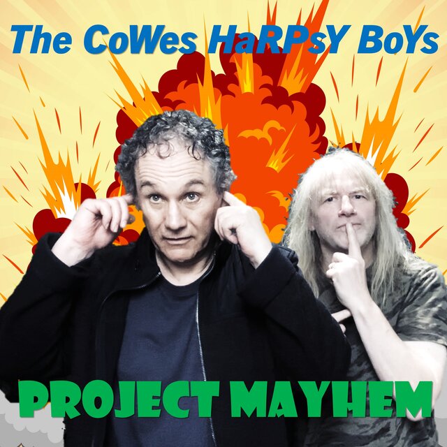 Project Mayhem