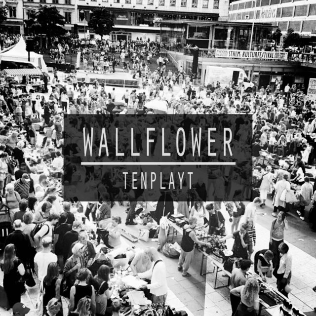 Wallflower by Tenplayt on TIDAL