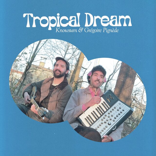 Tropical Dream