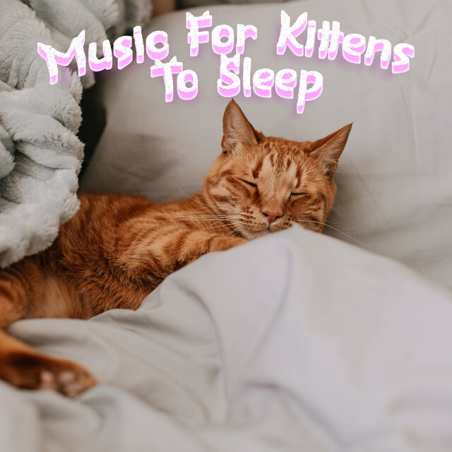 Calming Music For Cats With Anxiety Deep Soothing Music