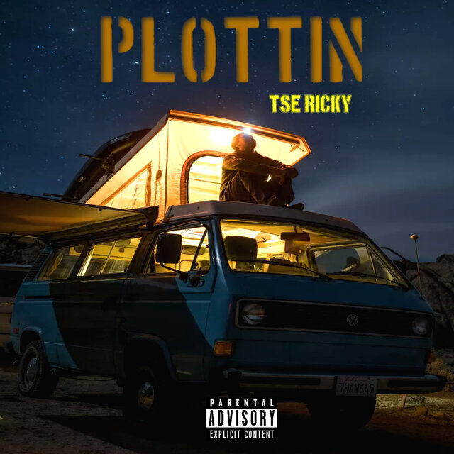 Plottin