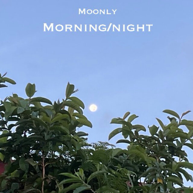 Morning / Night