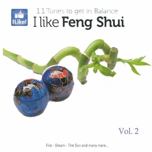 I Like Feng Shui, Vol. 2