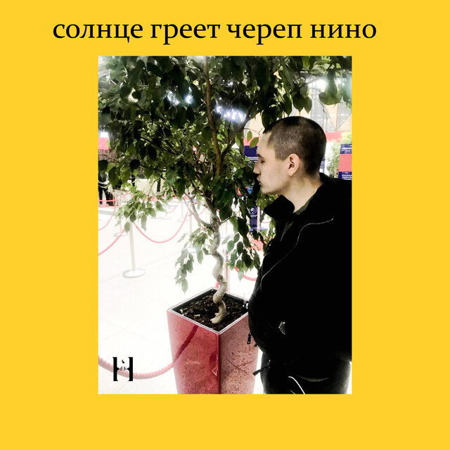 Солнце греет череп