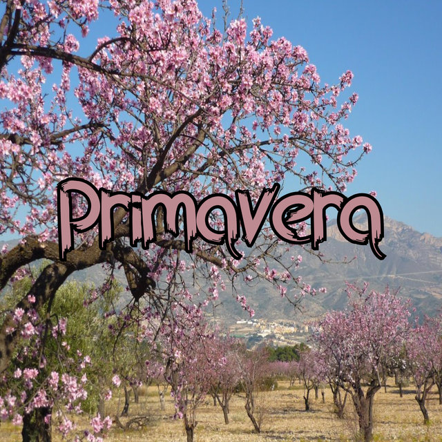 Primavera