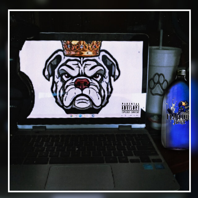 654 Bulldawg Radio, Vol. 1