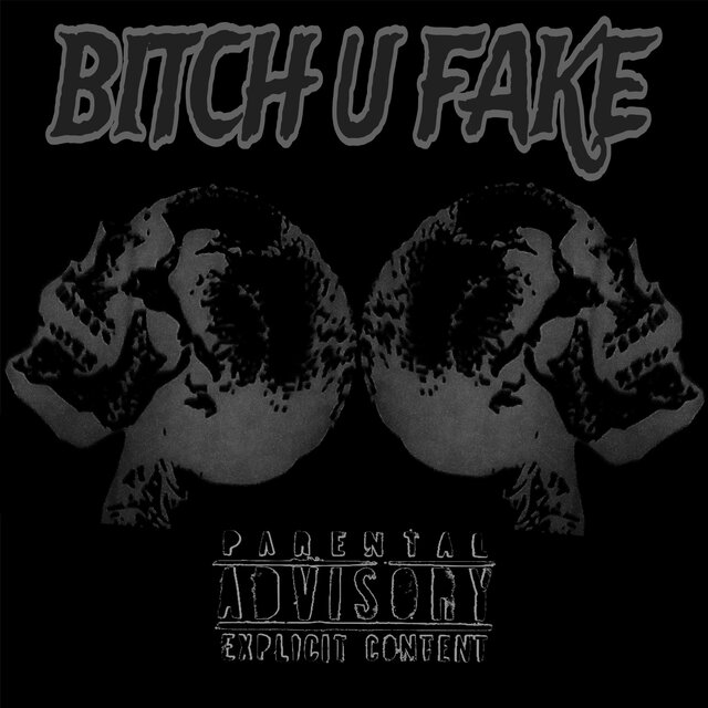 BITCH U FAKE