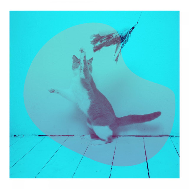 Thrilling Bgm for Home Cats
