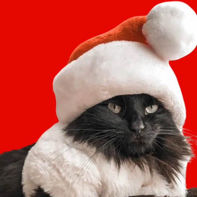 Silent Night Melody