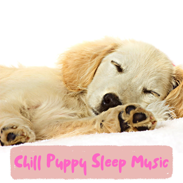 Puppy Lullaby Sleep Music For Uninterrupted Sleep