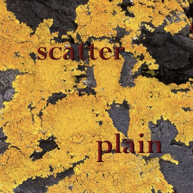 Plain