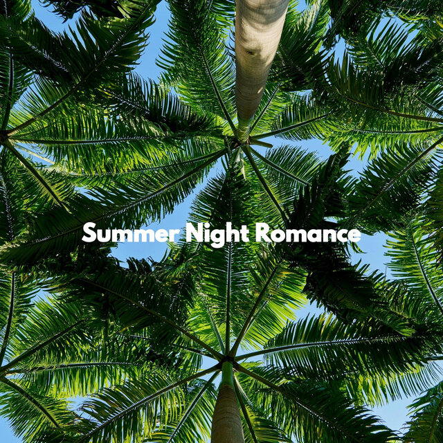 Summer Night Romance