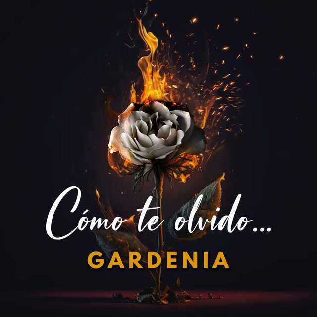 Cómo Te Olvido...